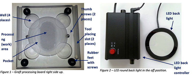 round gpb figure1