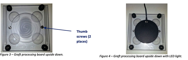 round gpb figure2